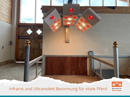 Pferdesolarium mit Hebe- und Senkvorrichtung