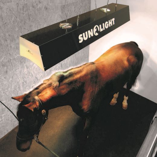 Pferde-Solaranlage Sunlight 1