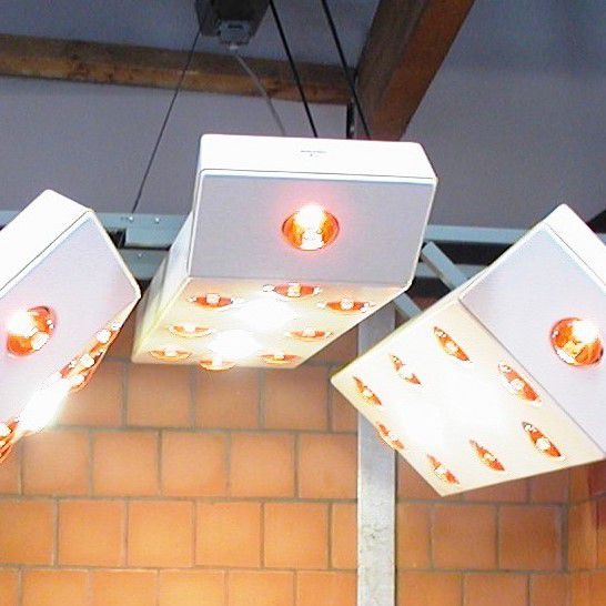 Zusatzelement für Pferdesolarium