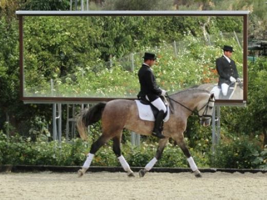 Riding mirror DIAMOND SYSTEM® for indoor & outdoor in application