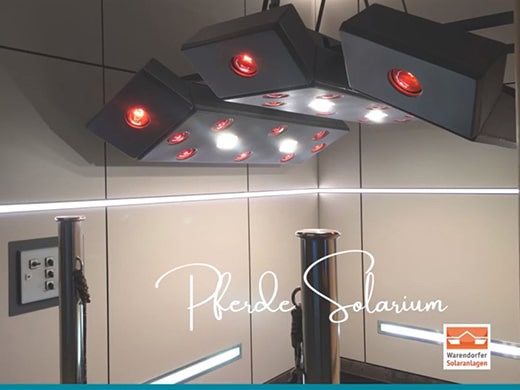 Horse solarium LUXUS-S