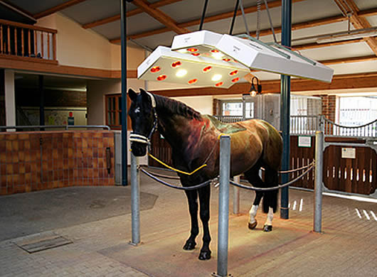 Horse Solarium PRIVILEG-S