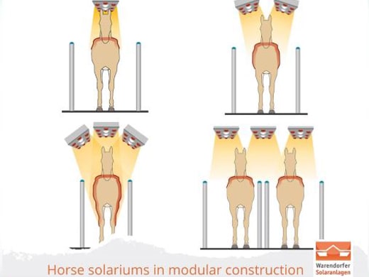 Horse solarium for better blood circulation in the muscles