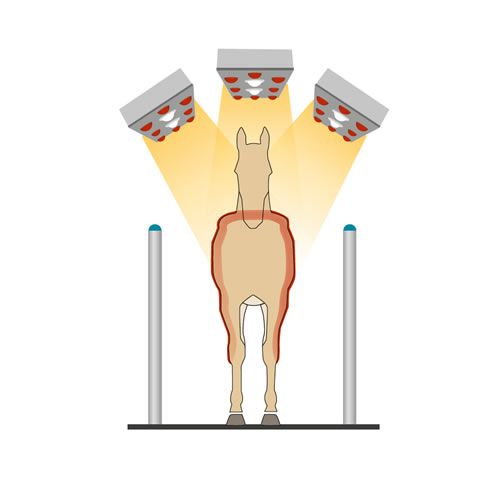 2. Produktansicht von Horse solarium | PRIVILEG-S