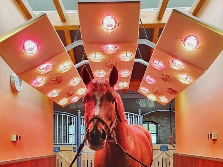 Warendorfer solarium PRIVILEG-S with additional neck elements