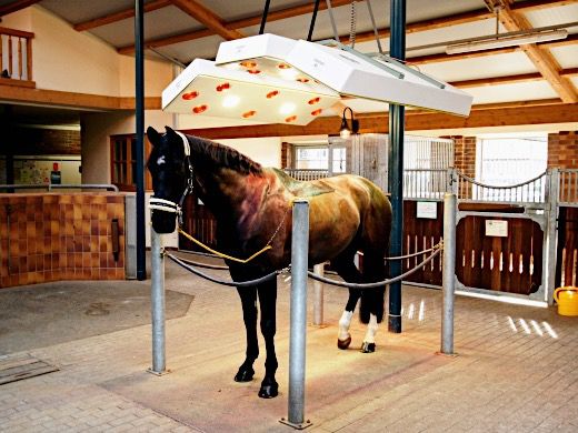 Solariums for horses | EQUITECH