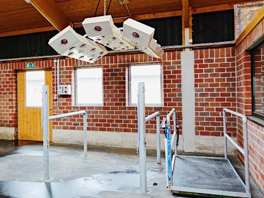 Equine solarium PRIVILEG-S