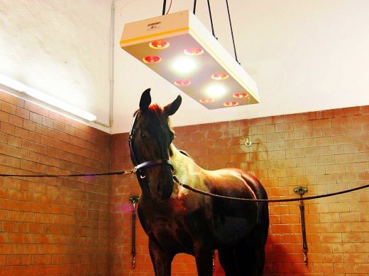 Solariums for horses | EQUITECH