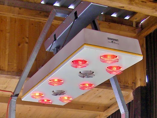 Equine solarium STANDARD I-S