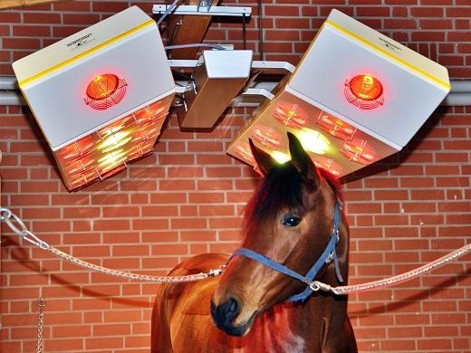 Solarium for horses | EQUITECH 