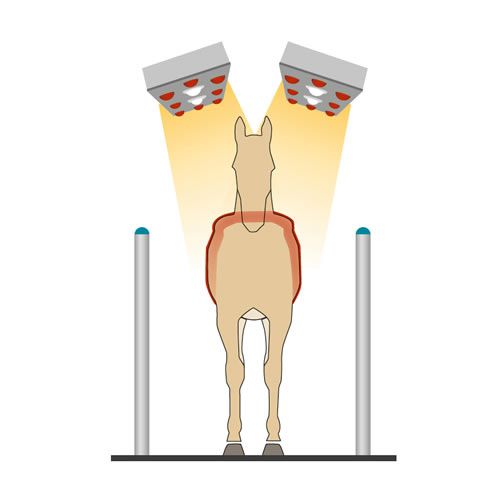 2. Produktansicht von Horse solarium | STANDARD II-S