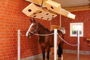 Solarium Pferde | Warendorfer Solaranlagen | Modulbauweise