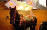 Horse solaria | Warendorfer Solaranlagen | fast drying