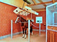 Horse solaria | Warendorfer Solaranlagen | lift
