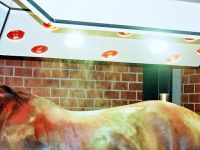 Equine solaria | Warendorfer Solaranlagen | quick drying