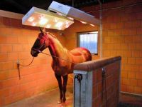 Horse solaria | Warendorfer Solaranlagen | Standard II-S