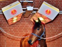 Horse solaria | Warendorfer Solaranlagen | with neckelements
