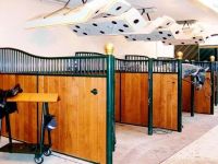 Equine solaria | Warendorfer Solaranlagen | healthy horses
