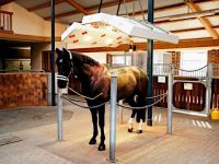 Horse Solarium PRIVILEG-S