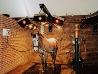 Horse Solarium LUXUS-S