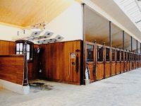 Horse Solarium LUXUS-S