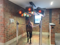 equine-solarium-neck-element-warendorfer (10)