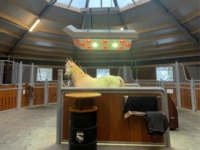 horse solarium-with-lift-warendorfer (3)